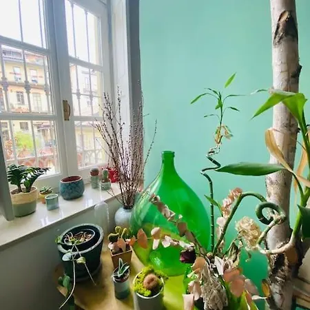 Hotel Casa Degli Alberi *